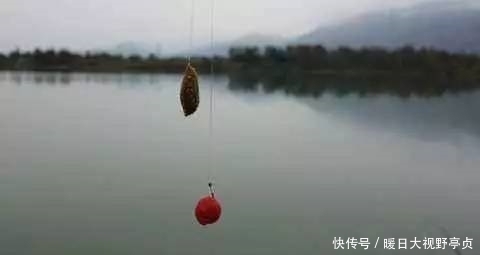 野钓|这些影响渔获的,钓鱼不良习惯,你有吗?