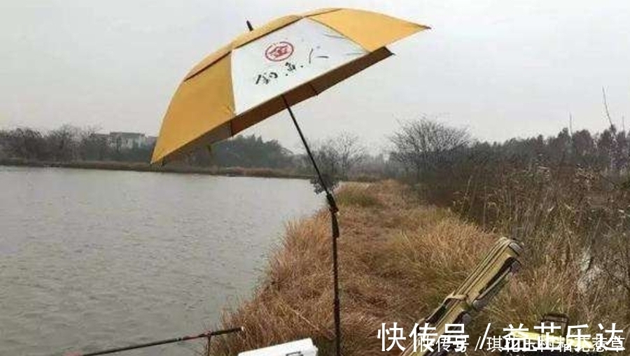 大板鲫不咬钩，只怪天气不好？老钓手换用这套钓法，刚下竿就中鱼