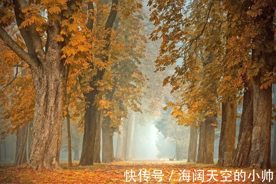 疾病|植物神经紊乱的不良影响