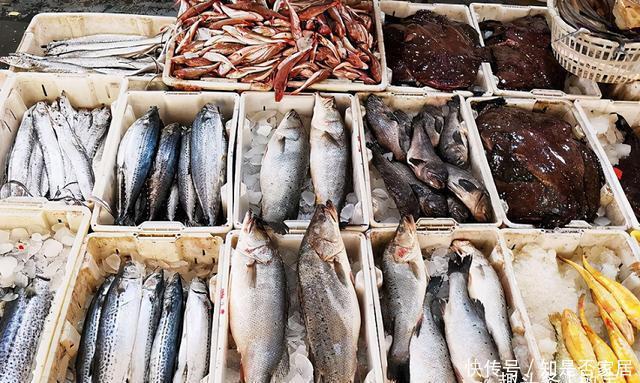 养殖|老渔民:5种鱼,目前无法人工养殖,全是纯野生,便宜又好吃!