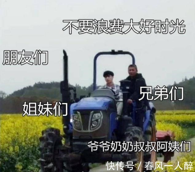 干活|《向往5》干活被质疑作秀，看嘉宾种树时的衣服，是否摆拍很显然