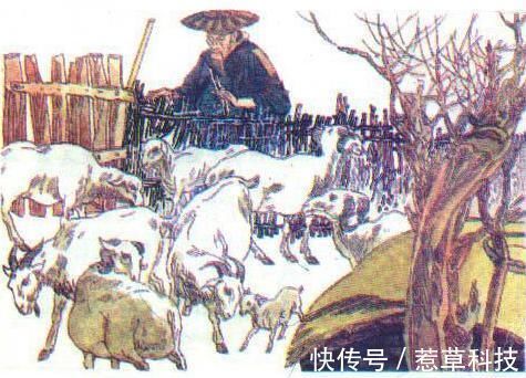 班主任#一波回忆杀,课本上的插画你还认识几张?班主任:全认识的是学霸