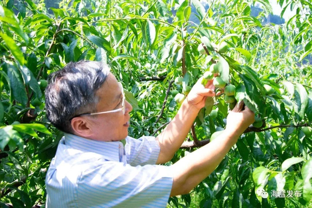 道德模范|最美浙江人丨浙江表彰省道德模范，这位海盐人去领奖了！