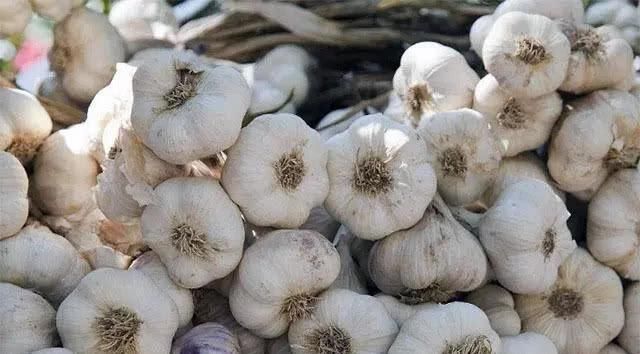 血脂|高血脂最“害怕”这几种食物, 坚持每天吃一种, 血脂“悄悄”降