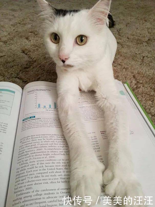 看什么书看书,难道我还没有书好看吗