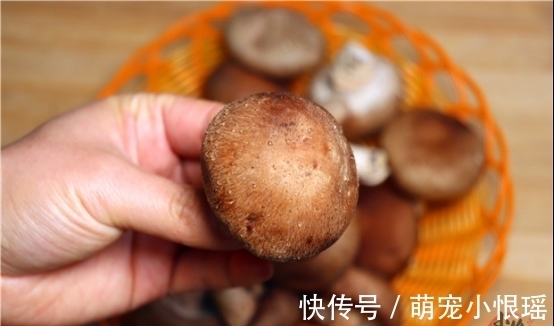 菜贩子|买香菇时,看见这几种建议不要买,菜贩子从来不吃,涨知识了?!