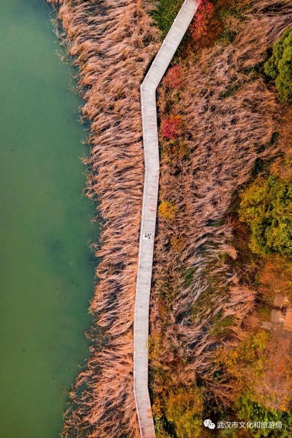 冬景|早安湖北｜武汉冬景，才不是你想的那样！