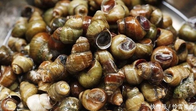 炒石螺最好吃的做法，简单美味又馋人，看看你喜欢吃不？