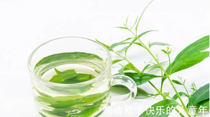 鸦胆子|5年前感染上幽门螺杆菌,老中医教会他认识了这10种草,受益终身