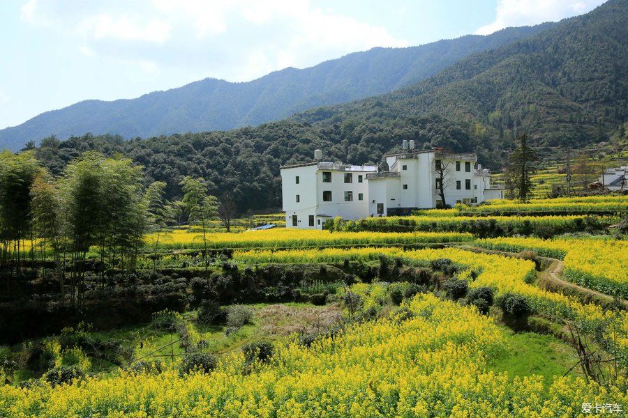 阳春三月，游婺源赏油菜花