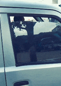 |搞笑GIF:这只猴子是进化了一半吧?另一半卡住了?