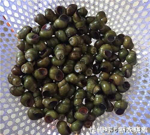 抗力|人称“盘中明珠”，在农村没人要，却是“钙中钙”，助发育提抗力