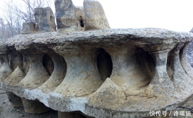 奇石|村民发现一6吨 ”飞碟“ 奇石,出价10万遭拒