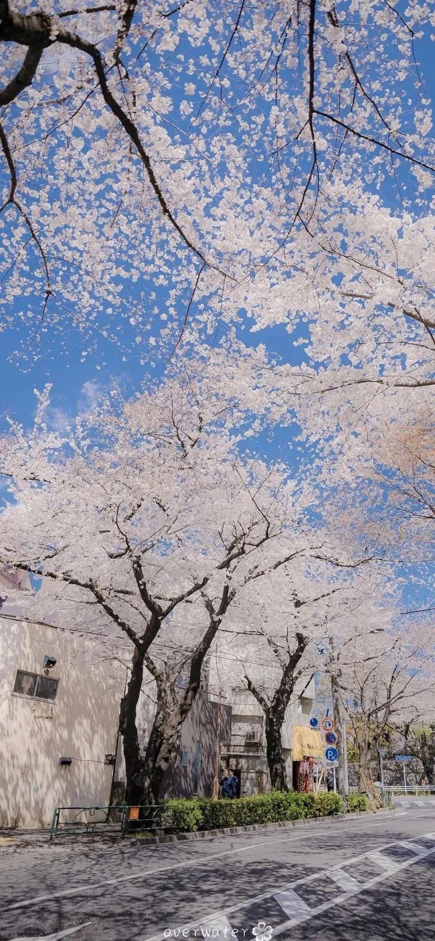 山川湖海，天地与爱。