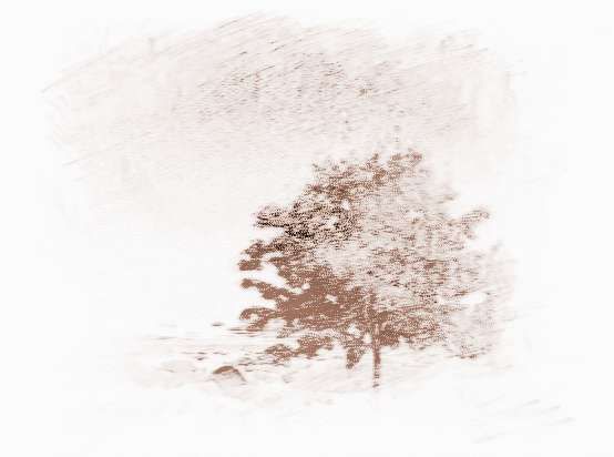 壬申日柱论命 快资讯