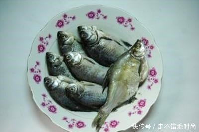 鲫鱼|它是被人“误解”最多的鱼，比鲈鱼营养，只要5元一斤却无人问津