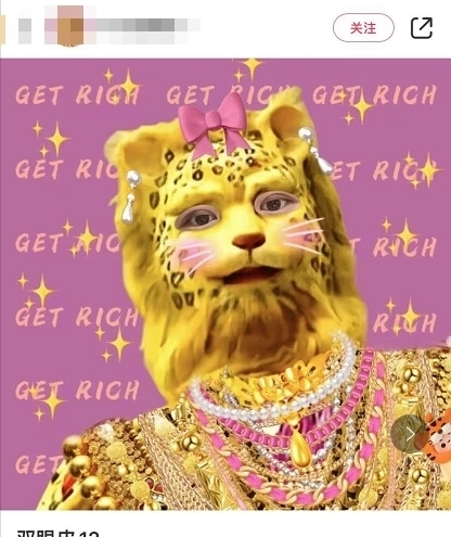 最近的朋友圈,跑进来一只豹子