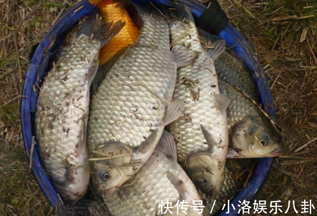 鱼口|天气转凉要钓深水?不,学会秋钓边,渔获也很不错
