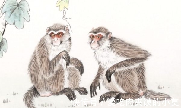 生肖狗|12月2号到12月31号,财富倍增,钱权双丰收的3大生肖