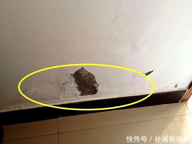 开裂|秋季墙面怎么保养3种常见“症状”，对症下药巧上家居美容课