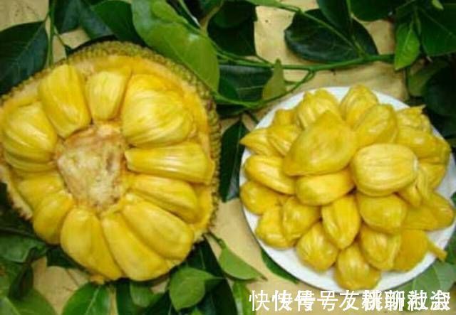 女人|不是所有水果吃了都能减肥,女人过了30岁,少吃这几种水果