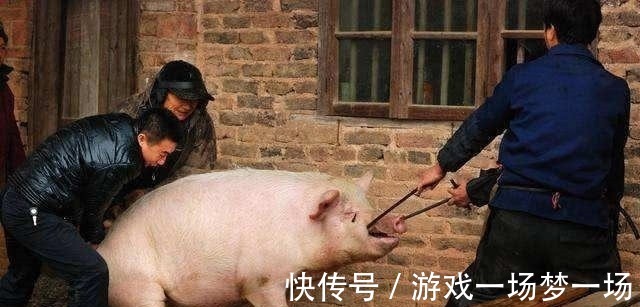 农村|农村杀猪人为什么都命短？梁宏达的解释一针见血，真相值得一看