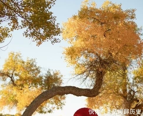 宋后第一女词人贺双卿的秋天