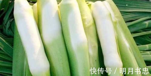 火龙果|最有营养的几种食物，美容养生，延缓衰老，好处多多