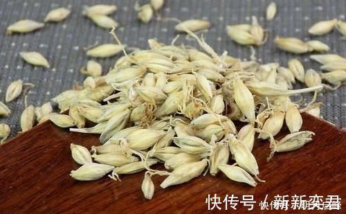 自制|除了煮、泡、发酵,还有这种方法,制作的麦粒,一粒麦子一条鱼