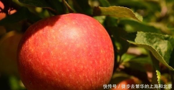 并發癥|糖尿病不能吃水果醫生提醒4種低糖水果放心吃，可以解解饞！