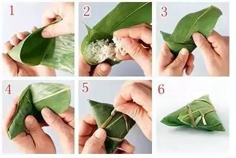 叶子|7种叶子，适合包粽子，操作方便还有竹香！