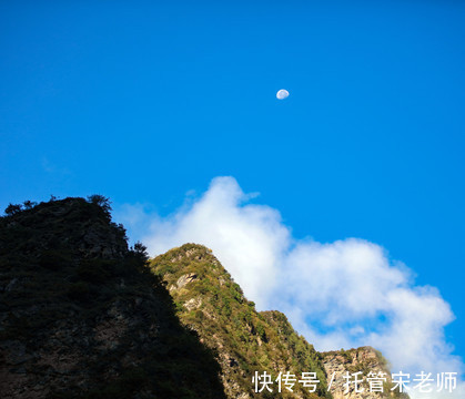 观察力|这才是孩子该有的能力!别人家的孩子早就在培养了!