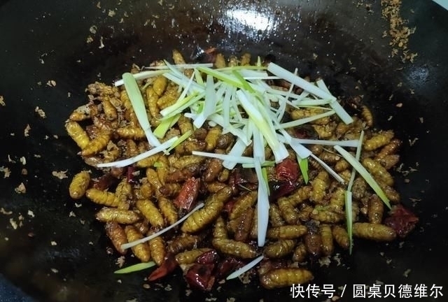 蚕蛹|大爷早市卖它，没人识货，10元一斤我直接包圆，吃后才知道赚大了