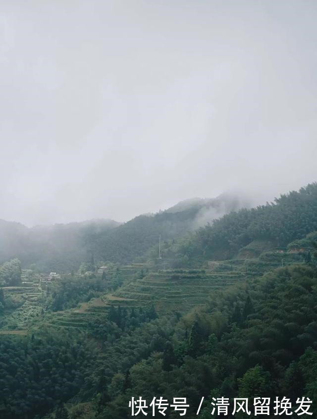 云雾|云和梯田一大奇景，云雾奇观，浮云世界