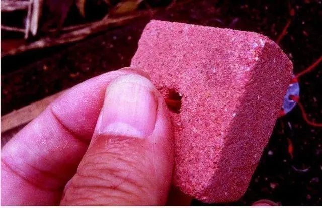 鲫鱼|冬钓鲫鱼爆护钓法,老钓友用了30年,今天无私分享!