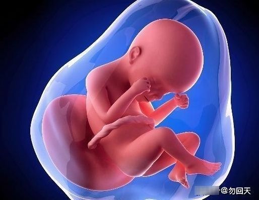 女人|怀孕后,为什么有的不显怀,有的肚子却那么大?看完你就知道了!