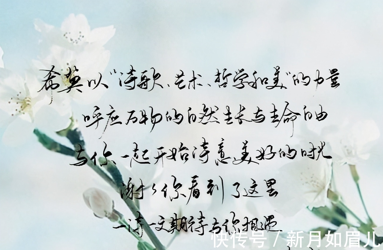 悲悯#愿你我的日历上,页页都写着,宜温暖,宜微笑,宜值得,宜安然