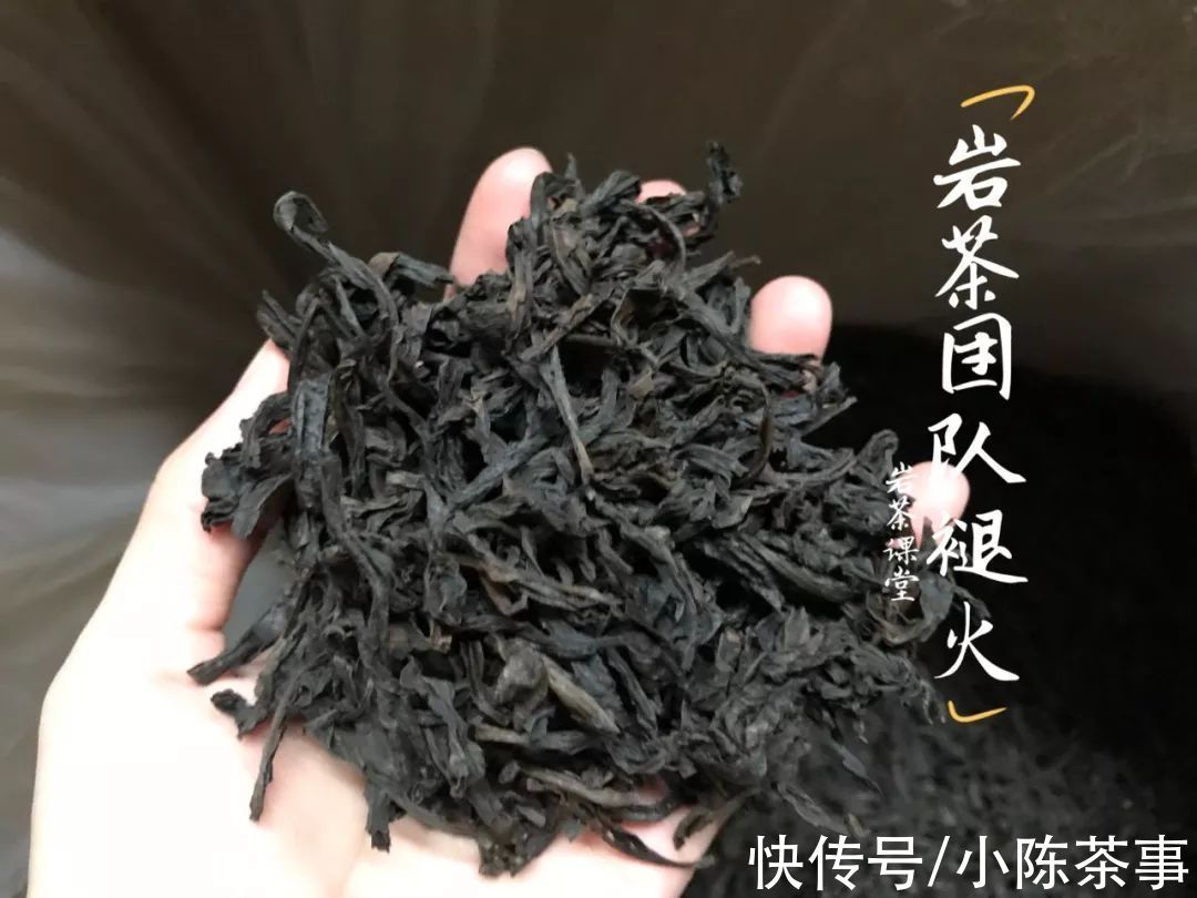 适饮期|爱喝岩茶的你，了解武夷岩茶的褪火期、适饮期、返青期、转化期？