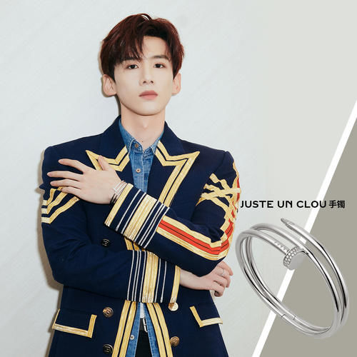 八大奢侈手镯经典款,卡地亚的LOVE、宝格丽蛇镯、蒂芙尼双T