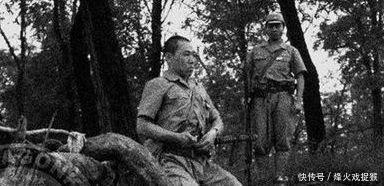 冷兵器|被猪瘟“打垮”的日本军队二战中这位将军竟命令部下吃草！