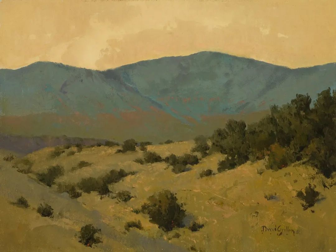 德克萨斯州#大卫·格里芬的风景油画高清图,放大看,更迷人