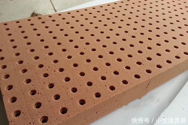 老妈如今在家种菜不用土了!海绵剪剪插蔬菜苗,天天吃菜不花钱!