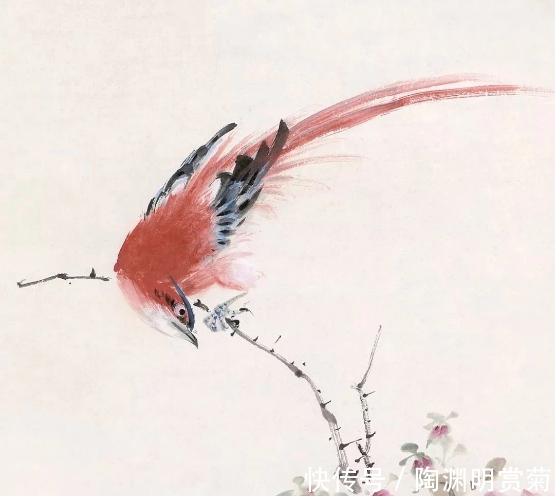 夜静#月落星稀到天明,夜凉如水露晶莹