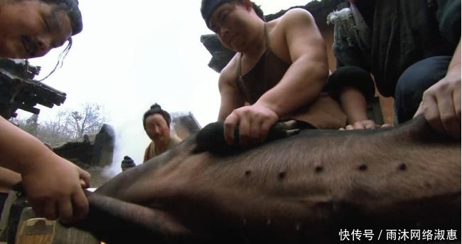 水果|石榴在当下并非稀有水果,但在古代一个石榴甚至能换一头健壮的牛