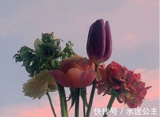 心扉|10月份,幸运满满,桃花满满,打开心扉,感情稳定,生活越来越好
