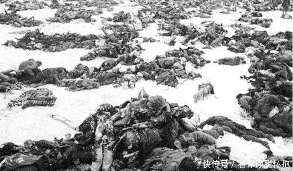 干净|二战德军的荒野求生之途，因为俄国传统被破灭干净，德国战败