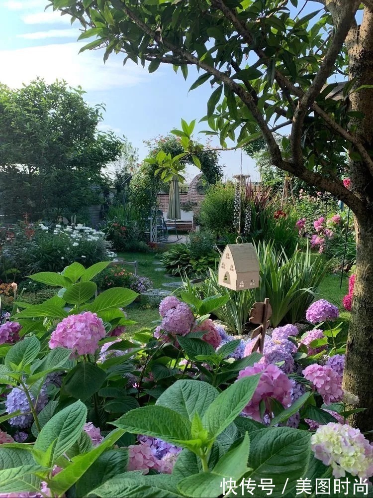 满园|2年前,买了一栋带院子的房子,在高楼喧嚣中建一个“梦幻花园”