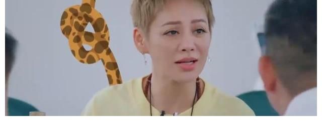 节目|黄晓明节目中为减肥只吃一根面条,宁静:你要干嘛?你有点作