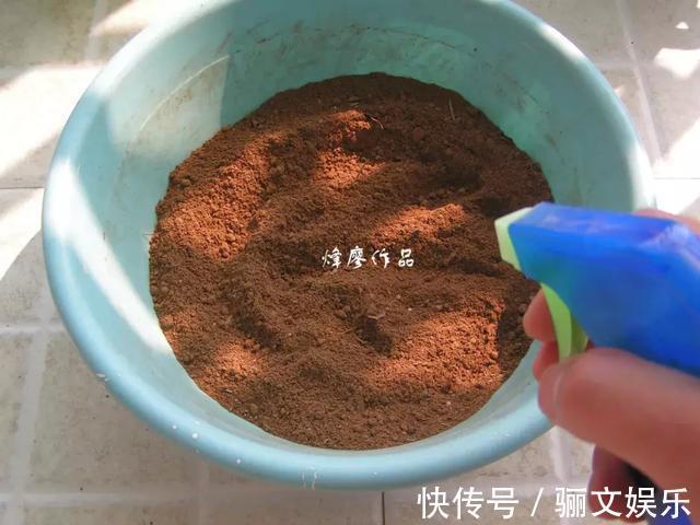 土土质|竹林下的1种土,是养花“极品土”,掺在盆里,啥花都能长得旺!