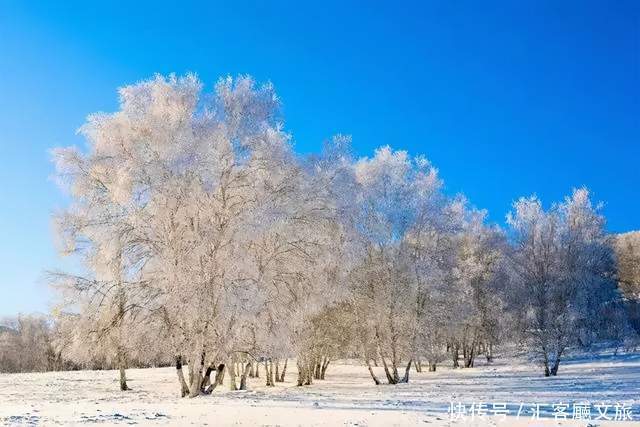 京北|玩儿雪非要去东北？京北草原这片冰雪秘境，也很香啊！